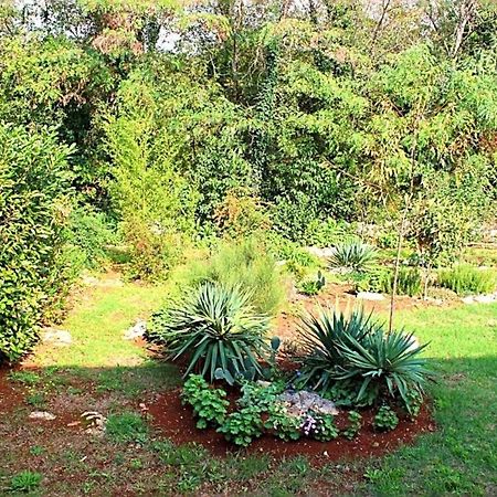 Jelena Apartment Porec Ngoại thất bức ảnh