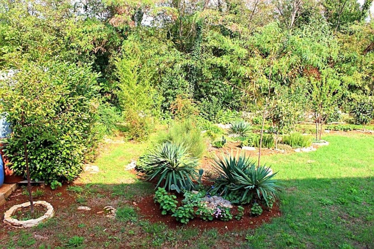 Jelena Apartment Porec Ngoại thất bức ảnh